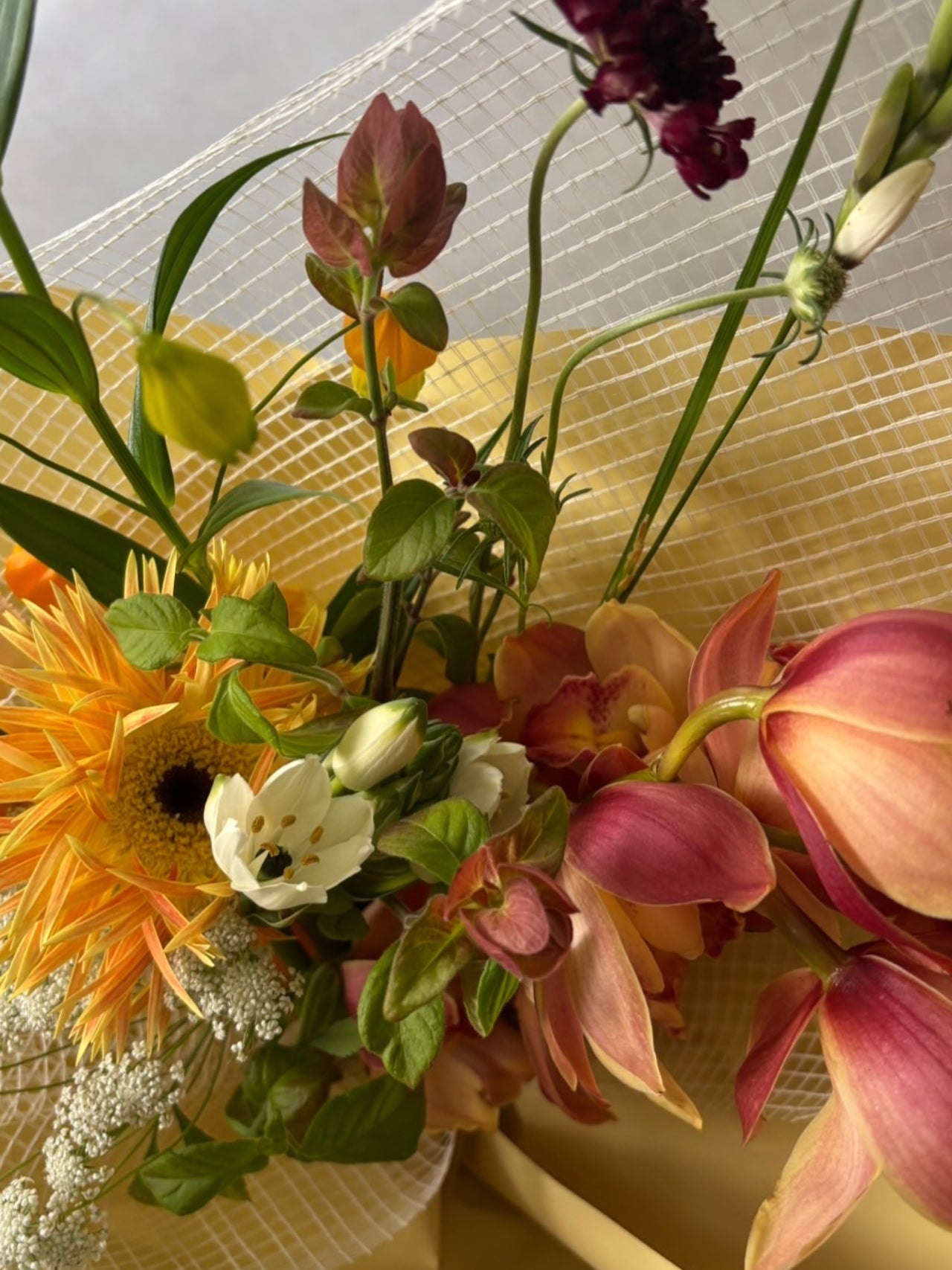 5/11着分  BOUQUET【動】