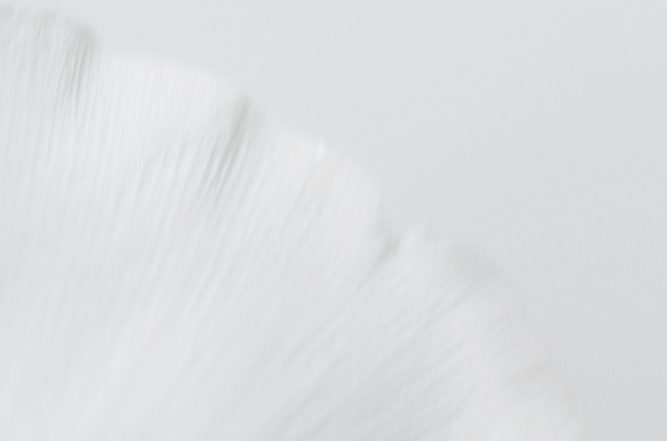 Brand Concept